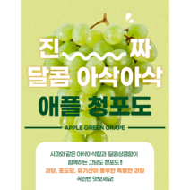 애플청포도 스윗글로브 900g 씨없는 애플 포도