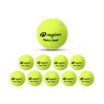 프록시마 연습용 테니스공 낱개 1개