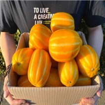 성주 못난이 참외 산지직송 2kg 2.5kg 3kg 5kg, 2kg(혼합)