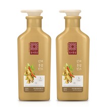 동의홍삼 진저홍삼 린스 500ml(두피딥클렌징), 2개, 500ml