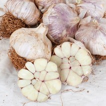 햇마늘 스페인종자 국내산 저장마늘 통마늘 장아찌 5kg 3kg