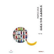 미술관에서 받은 처방전, BOOKK(부크크), 티안 저