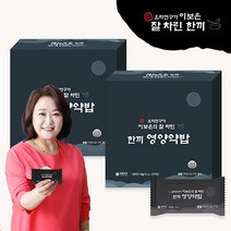 이보은의 잘 차린 한끼 보은밥상 영양약밥 20개 x 2박스, 50g, 40개