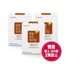 명품효소(하루효소) 365일 90g(3g * 30포) x 3박스 / 효소식품, 90g(3g*30포) x 3박스