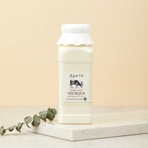 영준목장 수제 요거트 플레인 500ml