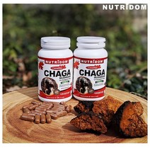 캐나다 뉴트리돔 차가버섯 20배농축 180mg 베지 CHAGA 120정 2병, 2개