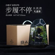 미니 테라리움 이끼 키우기 조경 비바리움 미니분경 데스크 장식 소품, 멈추지않고걷기라이트불포함