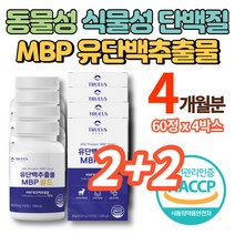 프리미엄 mbp 유단백 추출물 골드 플러스 정 동물성 식물성 초유 산양유 단백질 보충제 프로틴 알약 nbp 락토페린 식약청 인증, 4박스