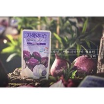 무안 자색양파즙 저온착즙 붉은 100ml 90포, 상품선택, 무안 자색양파즙 100ml 90포