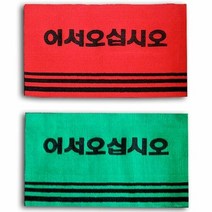 ZAI909127어서오십시오 카페트 매트 중사이즈 업소 매장 발매트, 그린