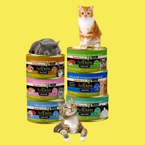아보덤 주식캔 고양이 습식사료 그레인프리 85g, 참치&새우