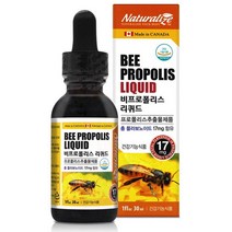비프로폴리스 리퀴드 액상 앰플 플라보노이드 30ml