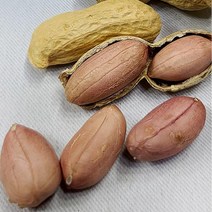햇땅콩 햇생땅콩 국산 생땅콩 500g x 1봉 땅콩효능, 단품