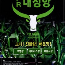 2023년 흥국씨드 PR대청향 1200립 고추품종 고추 종자 씨앗 청양고추씨앗