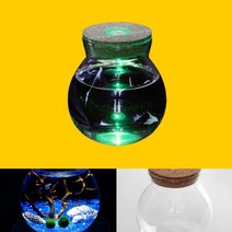 puttory 마리모 반려 식물 키우기 유리병 코르크 LED 공기정화식물 수경재배식물 13 X 12CM