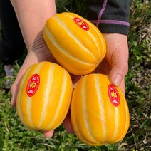 17브릭스 고당도 성주참외 2kg 3kg 소/중/대과, 소과 3kg (15-21과)
