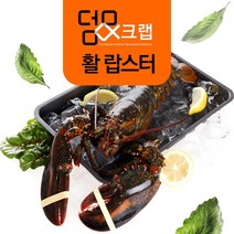 덤앤크랩 캐나다 자사 직수입 항공직송 활랍스터, 1box, 2kg x 1