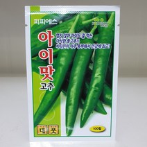 아이맛 100립 텃밭 풋고추 오이 아삭이 고추씨앗