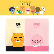 카카오프렌즈 파일철 다이소파일케이스 서류파우치 230mmx310mm, 1개, 라이언