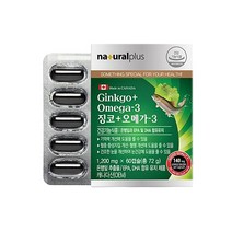은행잎 추출 오메가3 어르신 기억력 효능 2개월분