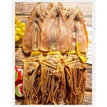 마른 건오징어 600g 20마리 축 800g 20마리 축, 20개