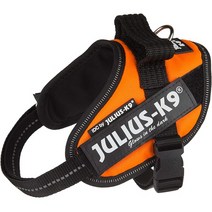 일본직발송 4. 율리우스 케나인 (Julius-K9) 율리우스 케나인 IDC 파워 하네스 오렌지 미니 미니 B01J5RB, 미니미니_One Color, One Color