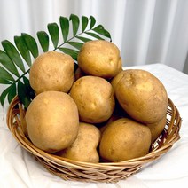 산들미가 2022년 저장감자 두백감자 (특대혼합)- 3kg/5kg /10kg, 10kg