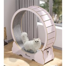 런캣 채색 간단 설치 캣휠 무소음 고양이캣휠 5분 설치 캣휠, S(83*36*92), 자체 조립, 베이지핑크