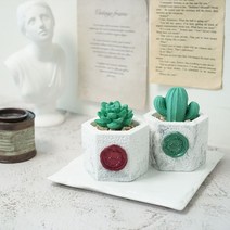 육각마블 선인장 샤쉐스톤 석고방향제 +리필오일 5ml 인테리어소품, 다우니, 버건디, 둥근선인장