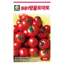 일성 백다다기 오이 씨앗 50립 - 흑침오이 반백오이 오이씨앗 야채씨앗 채소씨앗 채소재배 종묘 종자 베란다 텃밭 씨 씨앗 호박 방울토마, 15_다농_원홍3호 방울토마토(50립)