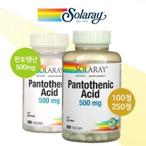 솔라레이 판토텐산 파워푸드 슈퍼푸드 아세틸콜린 콜린 판토텐산칼슘 비타민b5, 1개, 100정