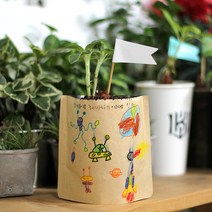 미니 식물키우기 DIY 그림봉투화분 직접만드는 예쁜화분, 2.그림봉투화분 봉선화