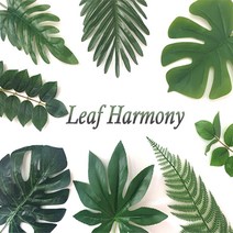 촬영 소품 야자수 유칼립투스 몬스테라 잎 조화 잎사귀 인테리어 조화 소품, 01_몬스테라 잎 조화