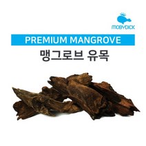 맹그로브유목(중) 20-30cm [체리새우/crs새우/생이새우키우기] 애완관상용새우놀이터