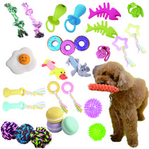 강아지 이갈이장난감 터그놀이 애견장난감 소형견 중형견 대형견 16종, 13.마카롱 삑삑이