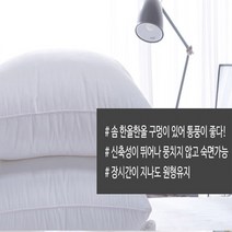 향균 고급압축 구름베개솜(40x60 50x 70cm)
