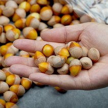 깐은행 1kg(특), 단품