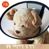 시츄 강아지용품 수술후 2차감염예방 애견목커버카라 빠삐용 깔때기 진돗개