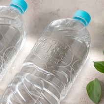 백산수(무라벨) 2L 6페트