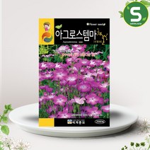 솔림텃밭몰 아그로스템마씨앗 2000립 선홍초 꽃씨앗 꽃씨