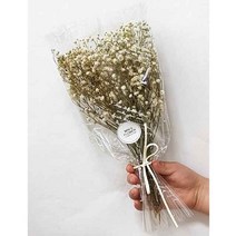 수앤로즈플라워 프리저브드플라워 안개꽃 드라이플라워 안개꽃다발 소 10g 30g, 30g 화이트