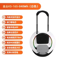 외발전동휠 킹송16S 킹송16X 킹송14D 대리운전 외발오토바이, 72V, 화이트 (킹송16S) 정품