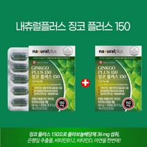 종아리 쥐나는 이유 자다가 다리에 쥐 손발저림 증상 손발 차가움 손발저림 다리에 쥐날때 저릴때 에 좋은 혈관 혈류 개선제 플라보놀배당체 GINKO 연질 캡슐, 1+1(4개월분), 4개