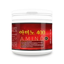 웨이테크 아미노 400 300g 근육 단백질 헬스보충제 /사은품 증정, 1개