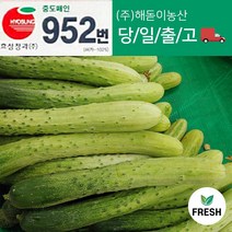 <해돋이 농산> 다다기오이 백다다기오이 백오이 특품 상품 10개 20개, 다다기 상품10개” class=”wr-img”></a></div></div></div></div><div class=