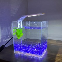 베타 기본 어항세트 수족관 베타키우기 얼음보석 어항, 그린, 베타 어항 풀세트