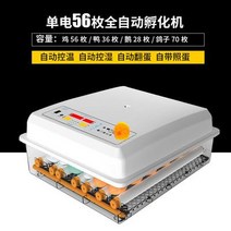 부화기 입문용 2021년 신상품 조류 자동 부화 병아리 계란부화기 36란 실험, 19. 계란부화기 56란