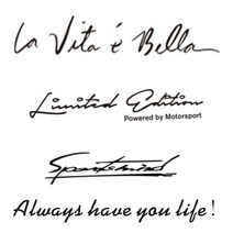 자동차 레터링 포인트 데칼 스티커 차량용 튜닝 글귀, 화이트, 006