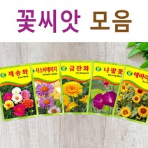 살아있는 꽃씨 야생화 키우기 다년생 채송화 다알리아 달맞이꽃 해바라기 맨드라미 봉선화 코스모스 메리골드 패랭이 접시꽃 사루비아 구절초 유채 백일홍 금잔화 꽃씨앗, S- 꽃씨-분꽃 x 1개, 1개