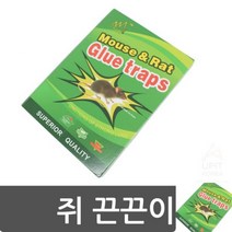 YOLOMAM 쥐 끈끈이 쥐없애는방법 사무실쥐